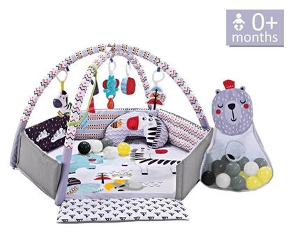 Γυμναστήριο Δραστηριοτήτων Zebra Πολύχρωμο για Νεογέννητα (MxΠxΥ) 106x106x55cm Bebe Stars