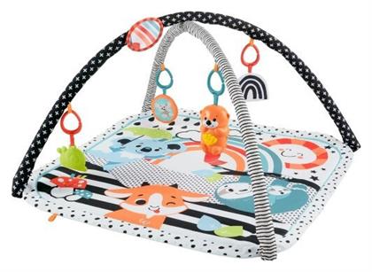 Γυμναστήριο Δραστηριοτήτων με Μουσική Πολύχρωμο για Νεογέννητα (MxΠ) 46x76cm Mattel