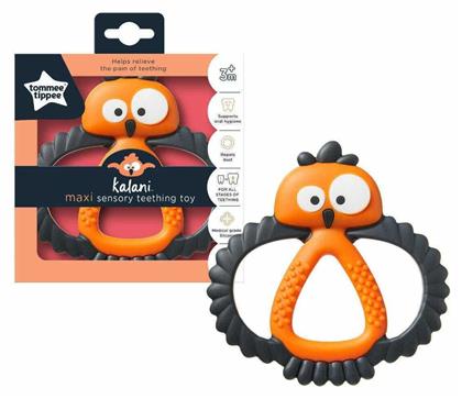 Μασητικό Οδοντοφυΐας για 3 m+ Tommee Tippee