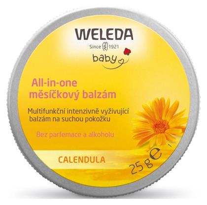 Lip Care 25gr Weleda