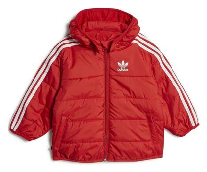 adidas - Adidas