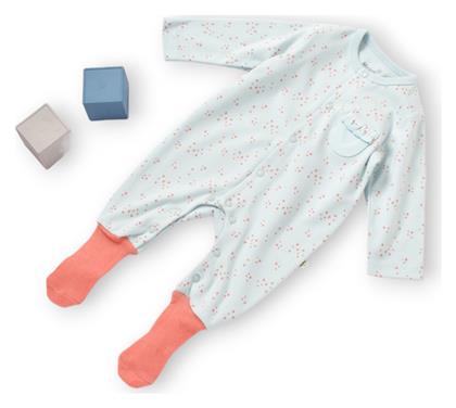 Φορμάκι Mint Biorganic