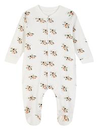 Φορμάκι Εκρού Energiers