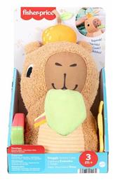 Βρεφικό Παιχνίδι Fisher Price