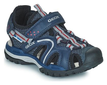 J Borealis Geox