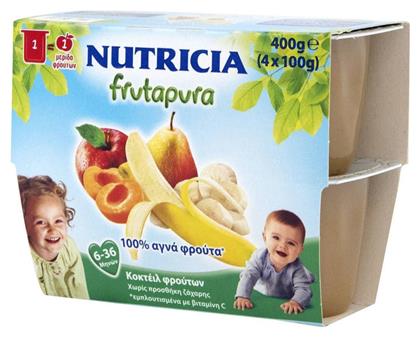Nutricia Φρουτόκρεμα Frutapura 5 Φρούτων 6m+ 400gr