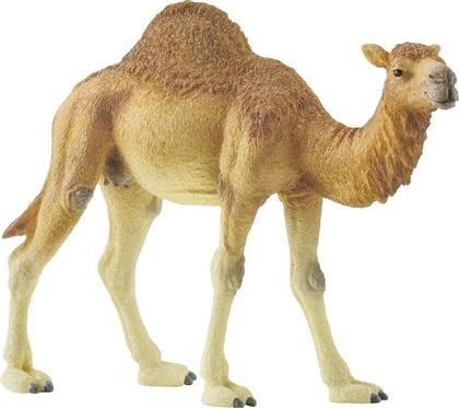 Schleich-S Παιχνίδι Μινιατούρα Καμήλα Δρομέας 4εκ. από το Public